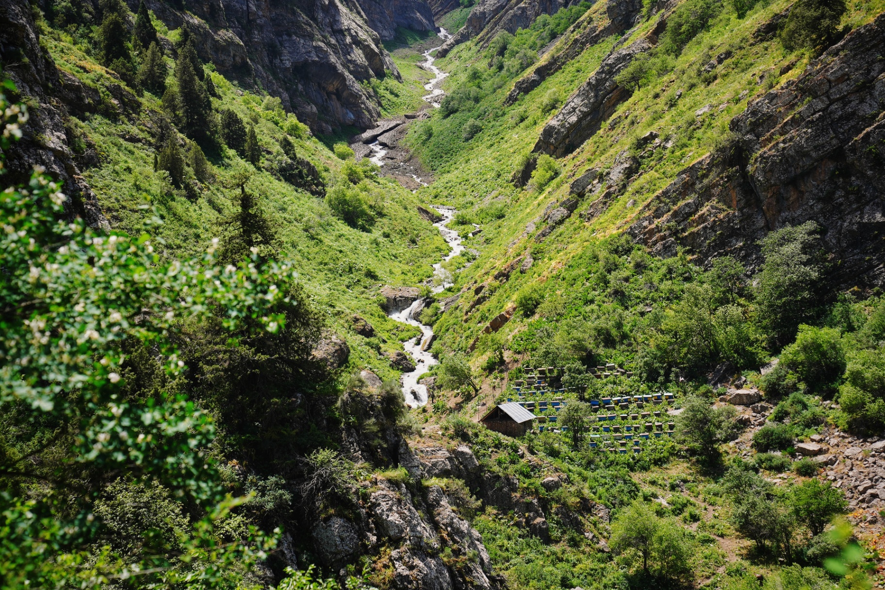 Uzbekistan's Switzerland.